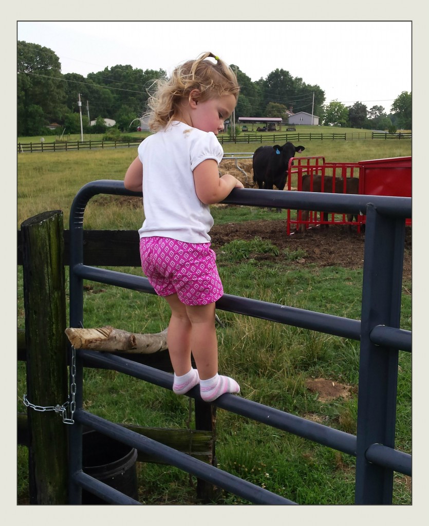 Adam Taylor Farms Ranch Foreman